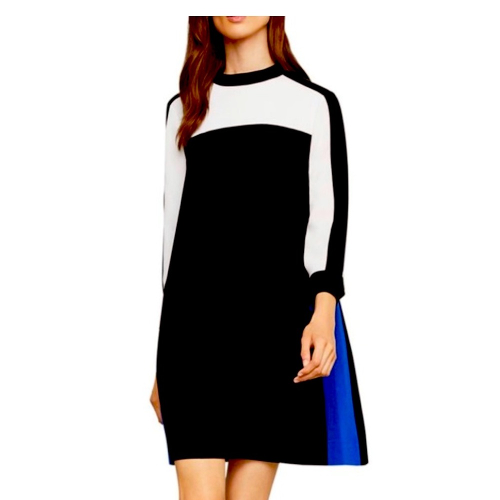 Bcbgmaxazria Color Block Shift Dress